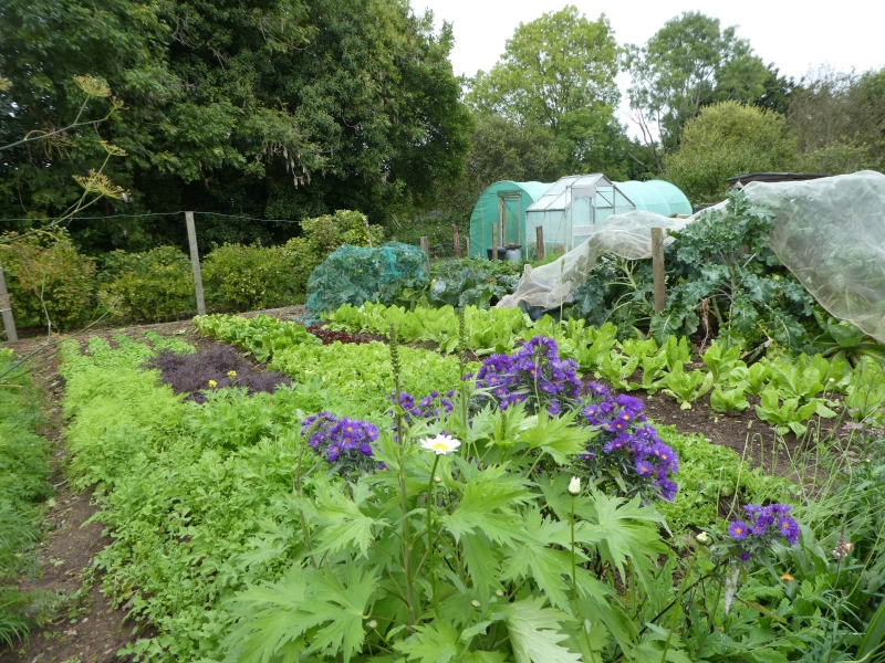 Helen's Bay Organic